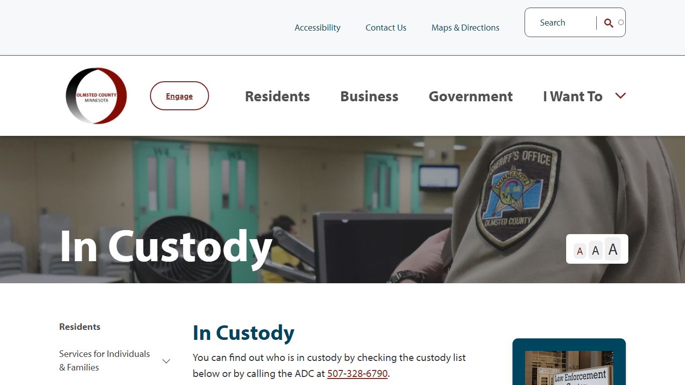 In Custody - Olmsted County, MN